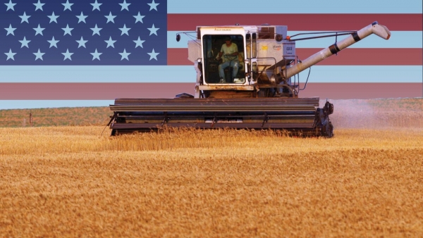 المزارعون الأمريكيون يدفعون ثمن الإجراءات التجارية لترامب