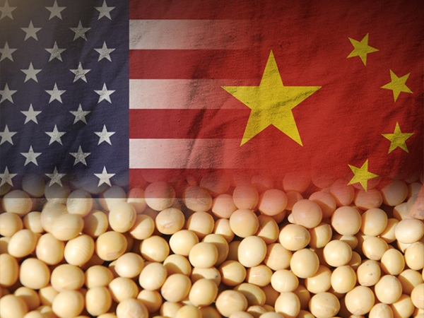 الصين تقترح تعزيز مشترياتها من المنتجات الزراعية الأمريكية ب30 مليار دولار
