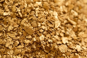 مراهنات ضخمة على ان يزيد سعر الذهب ثلاثة أضعافه في عام ونصف