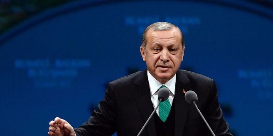 أردوغان يقيل مجلس إدارة صندوق الثروة السيادي التركي ويعين نفسه رئيسا له