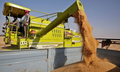 رغم تخفيف الهند حظر التصدير.. القمح يصعد بفعل ظروف جوية سيئة